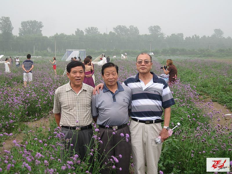 点击在新窗口查看原始图片