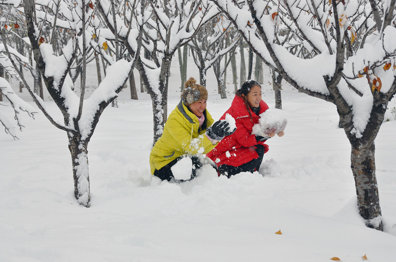 咏雪(诗配图)